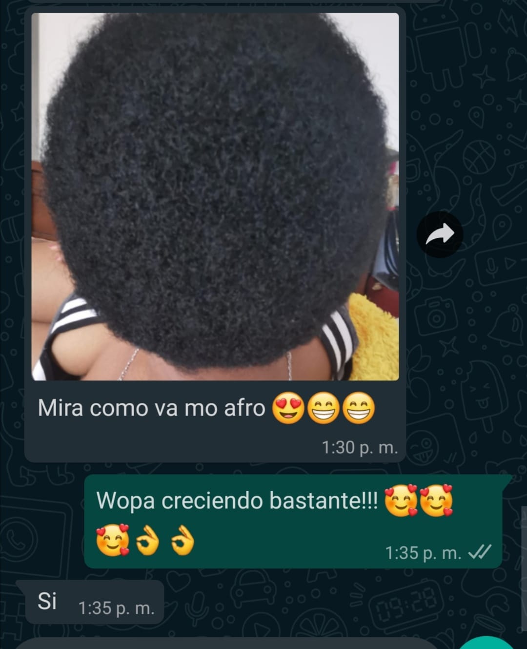 Bomba Oil