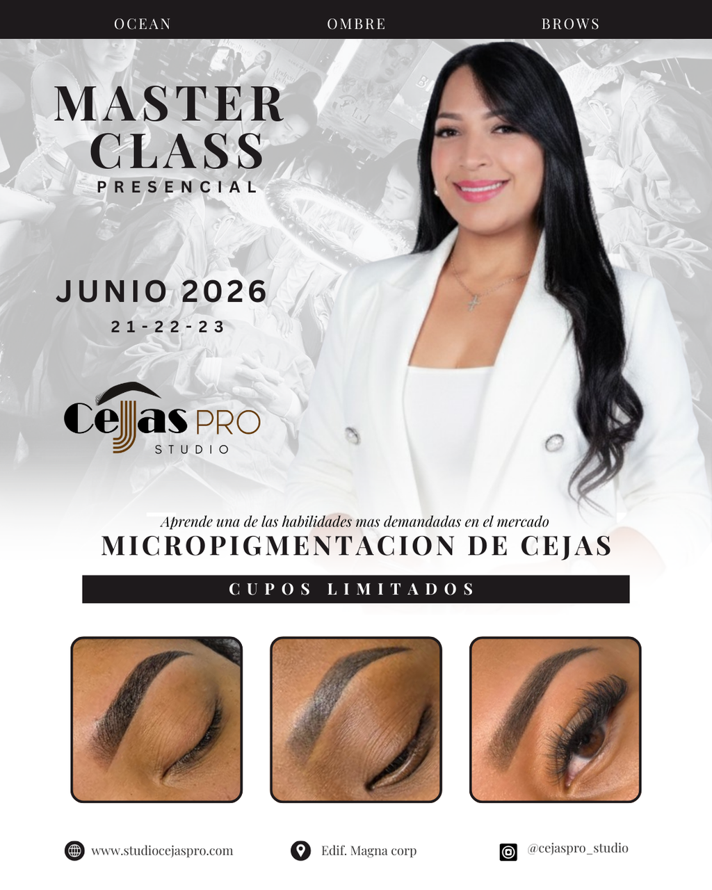 Masterclass Presencial Micropigmentación de Cejas - Curso Profesional 2026