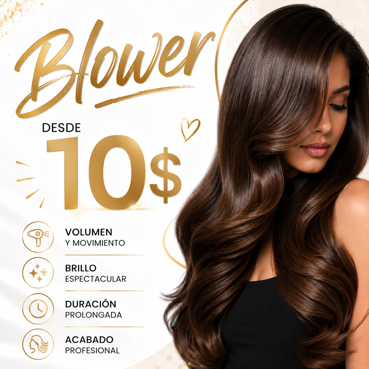 Blower – Servicio de Secado Profesional