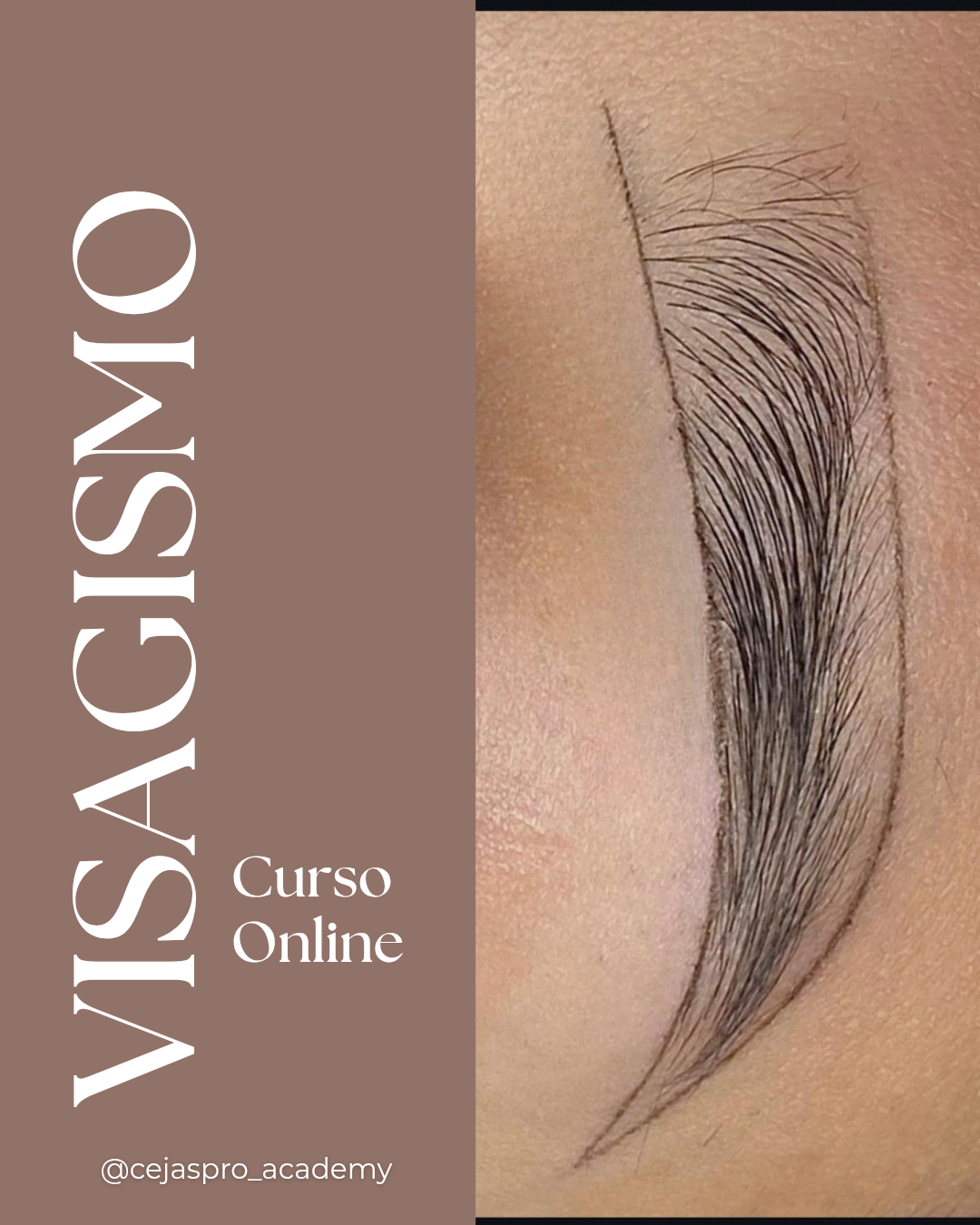 Curso de visagismo de cejas